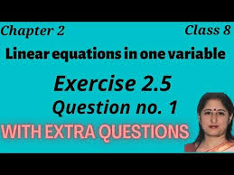Ex 2 5 Q5 Linear Equation In One