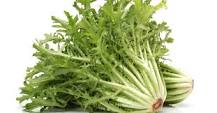 Salade : cultiver le pissenlit, cette plante aux mille vertus ...