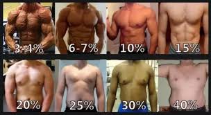 Can You Estimate This Persons Body Fat Percentage Quora