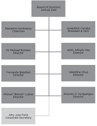 Airasia Zest Organizational Structure