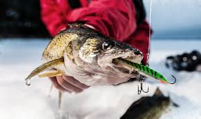best walleye ice fishing rod 2020 2021