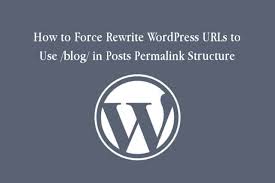 in posts permalink structure