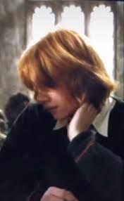 Ron Weasley with long hair being really cute | Ron weasley, Ronald weasley,  Harry potter universal