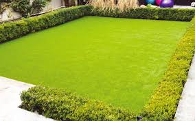 Artificial Grass Lawns In Domestic