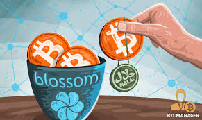 I am no economist nor a financial adviser, but i do believe that i understand some basics about what money should be. Blossom Finance Launches A Halal Cryptocurrency Microfinance Fund Btcmanager