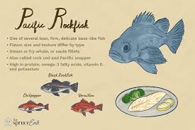 What Is Pacific Rockfish And How Is It Used