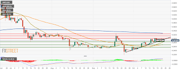 Ripple Technical Analysis Xrp Usd Consolidates In Flag
