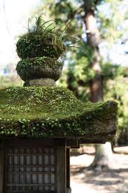 Small Japanese Garden Ideas 18
