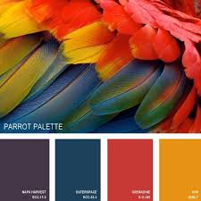 Color Palettes Inspired By Nature