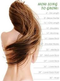 Hair Length Chart Hair Length Chart Hair Lengths Hair