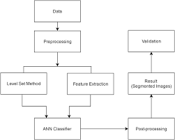 Generic Flow Chart Of Proposed Method For Brain Tissue