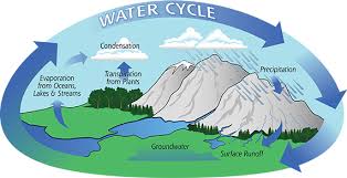 the water cycle center for science
