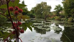 A Day In Monet S Gardens