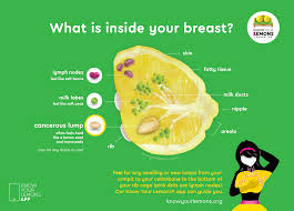 know your lemons foundation