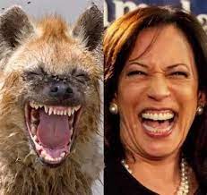 Maria Gronowski on X: "The laughing hyena……. Kamala Harris 🤣🤣🤣 https://t.co/eqpWE0oG07" / X