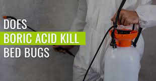 does boric acid kill bed bugs pest