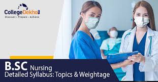 b sc nursing syllabus check topics and
