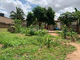 1 plot of land acp estate pokuase