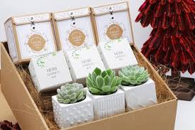 Buy Sara S Garden Gift Box 1 Eco