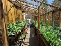 What is the difference between a greenhouse and a solarium?