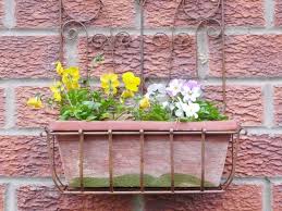 Wall Mounted Rustic Ornate Planter