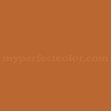 Benjamin Moore 2166 20 Caramel Latte