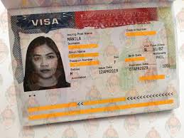 applying for tourist visa if working as