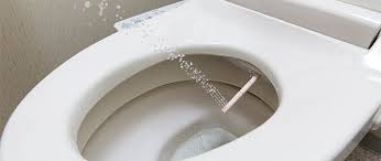 日本家庭の必需品、温水洗浄便座の普及率は80％超え : 耐久消費財普及率調査 | nippon.com