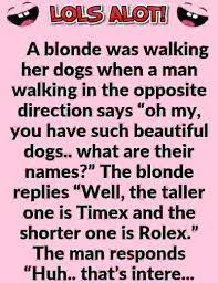 Your daily dose of bad funny jokes! Very Funny Clean Jokes Short