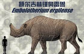 Embolotherium (meaning battering ram beast, or wedge beast) is an extinct genus of brontothere that lived in mongolia. Embolotherium Ergilense By Https Www Deviantart Com Sinammonite On Deviantart Prehistoric Animals Extinct Animals Prehistoric Wildlife
