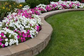 How To Drain Water From Your Flowerbed