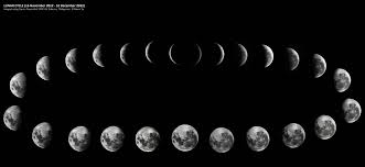 Image result for moon phases