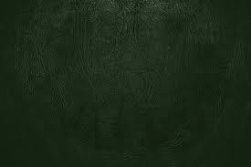 200 forest green wallpapers