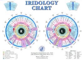 Iridology Bernard Jensen And His Book And Iridology Chart