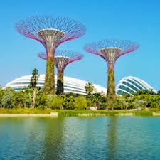 the singapore tourist p