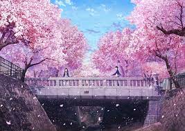 anime love sakura flower hd