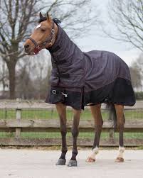 qhp turnout rug 600d 300gr with