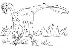Disegno Di Dilophosaurus Da Colorare Disegni Da Colorare E