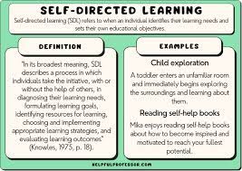 16 self directed learning exles 2024