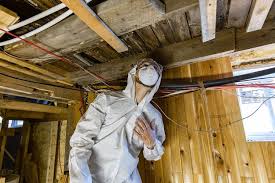 Mold In Basement 4 Areas To Inspect