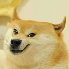Download transparent doge png for free on pngkey.com. Anneuaidd Yall Are Dumbasses Doge Is The Meme Of The Decade It S The Only Meme To Have Under Anneuaidd Decade Du Memes Anime Funny Current Mood Meme