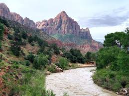 Attend one of our ranger programs ranger programs. Zion National Park What To Know Why Everyone Should Visit