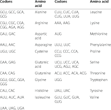 common amino acids