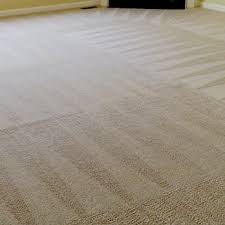 ace rug cleaners updated march 2024