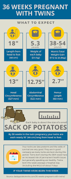 36 Weeks Pregnant With Twins What To Expect