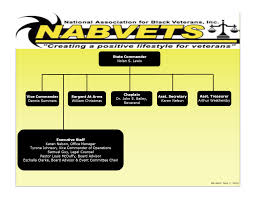 About Nabvets Inc Delaware Chapter 94 State Command