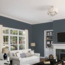 Wall Paint Colors For The Home Interior
