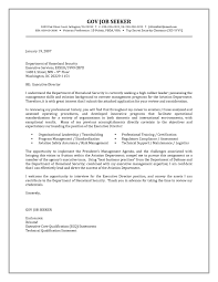 Government Resume Cover Letter Examples Jobresume Writing