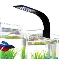 The 25 Best Aquarium Fish Tank Lights Of 2020 Pet Life Today