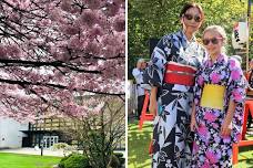 O-Hanami Cherry Blossom Celebration Burnaby